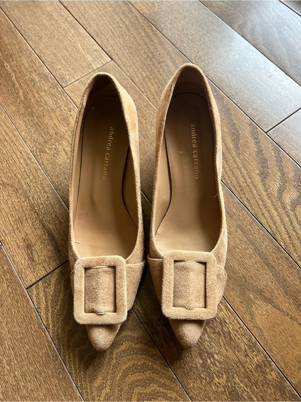 Andrea Carrano Tan Suede Pointed Toe Flats with Buckle